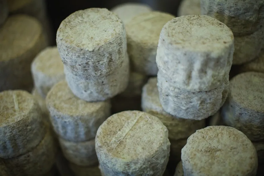 Les Fromages de Chèvre : fraîcheur, finesse et caractère