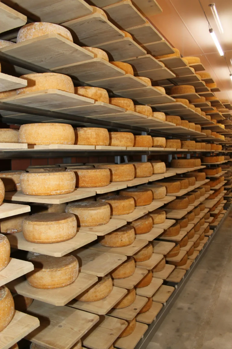 Comment Reconnaître Un Bon Fromage Affiné ?